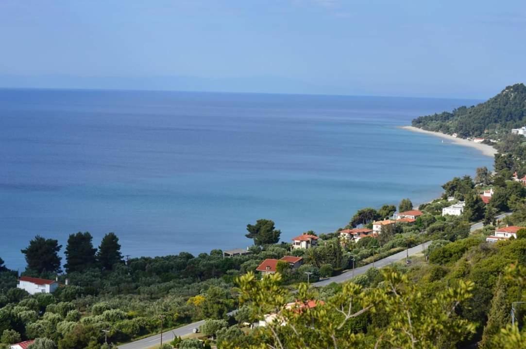 مولا كاليفا Leonidas Apartments And Suites المظهر الخارجي الصورة